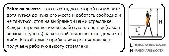Rab_vis_KRAUSE